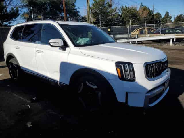 2024 KIA Telluride Ex Background