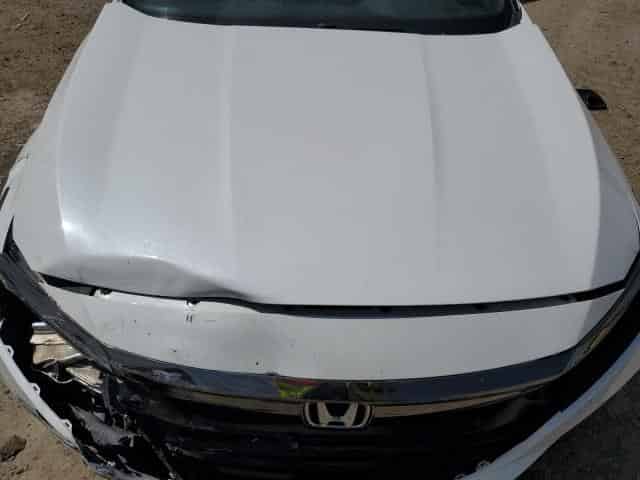 2020 Honda Accord Sport Background
