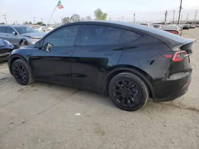2021 Tesla Model Y Background