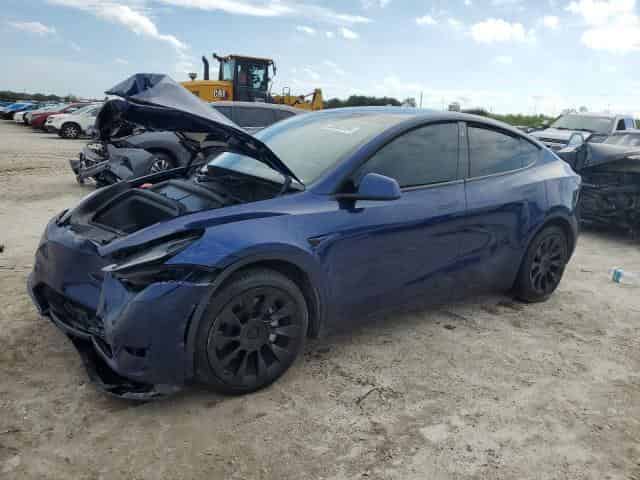 2023 Tesla model y Background