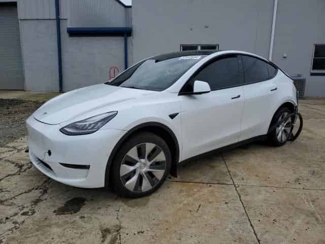 2021 Tesla model y Background