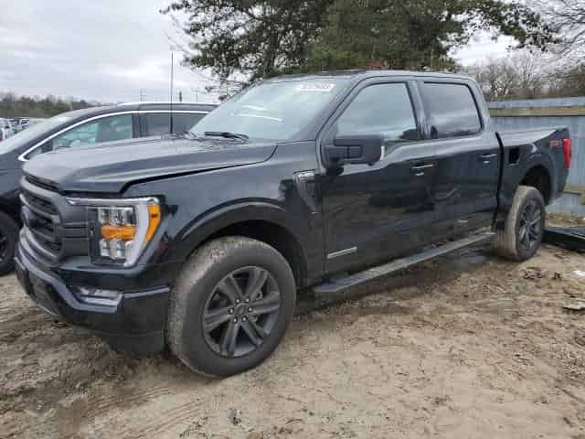 2023 Ford f-150 Background