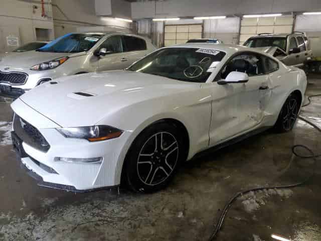 2020 Ford all models Background