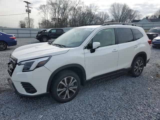 2023 Subaru forester Background