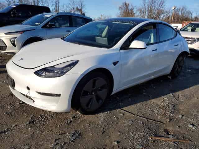 2021 Tesla model 3 Background