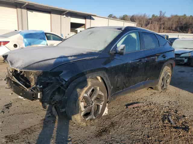 2022 Hyundai tucson Background