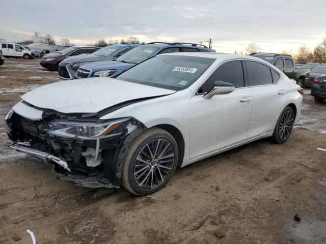 2022 Lexus es300 Background