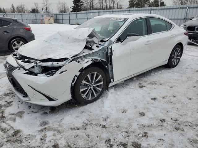 2021 Lexus es300 Background