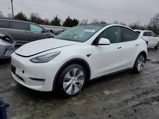 2021 Tesla model y Background