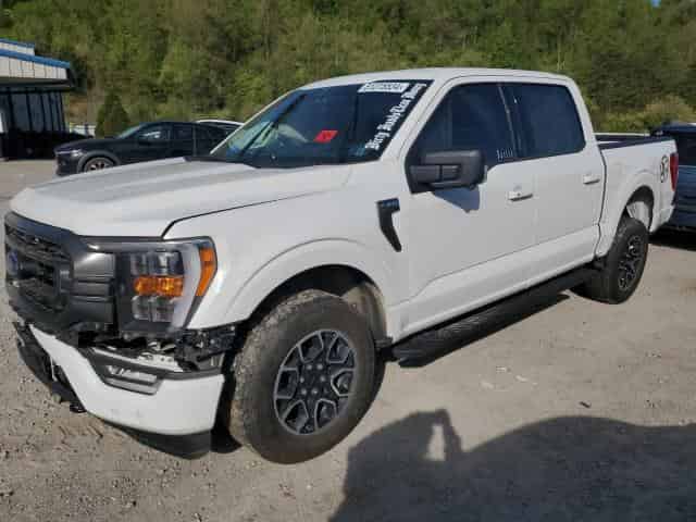 2023 Ford f-150 Background