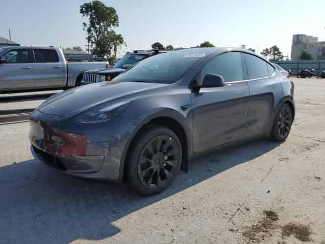 2023 Tesla MODEL Y Background