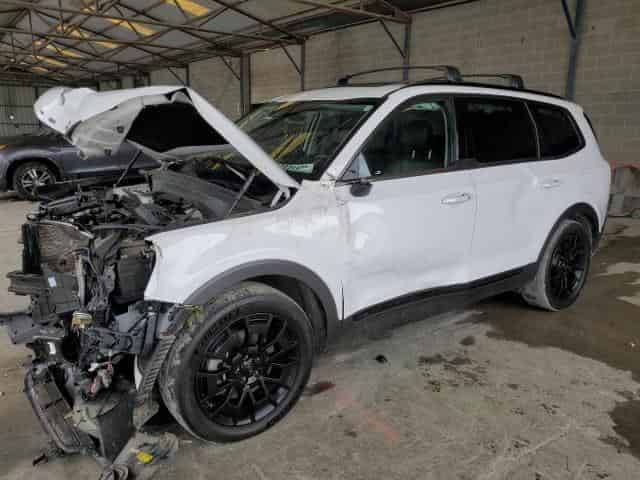 2021 KIA telluride Background