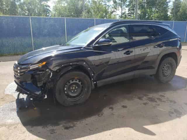 2024 Hyundai tucson Background