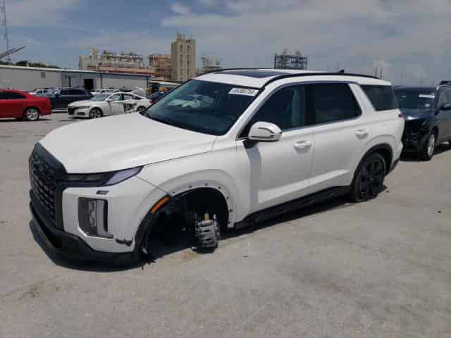 2024 Hyundai Palisade, Xrt Background