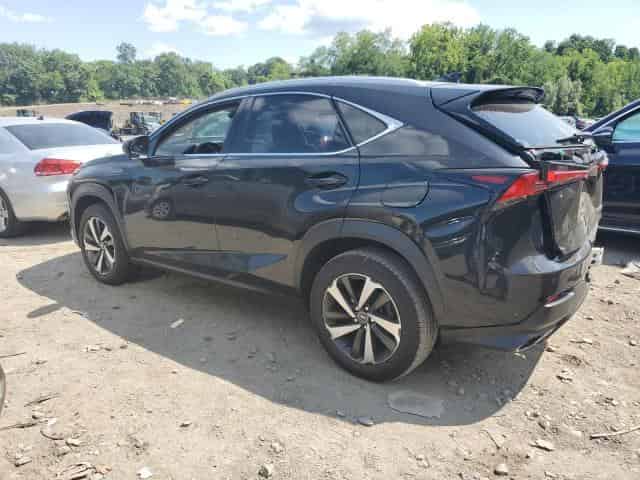 2020 Lexus nx Background