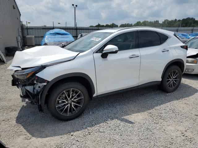 2024 Lexus nx 350h ba Background