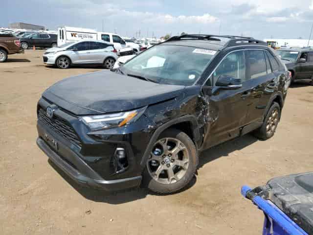 2023 Toyota rav4 woodl Background