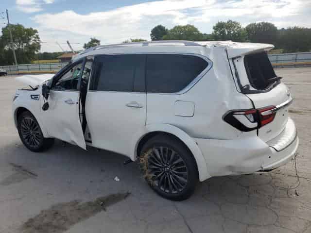 2024 Infiniti QX80, Sensory Background