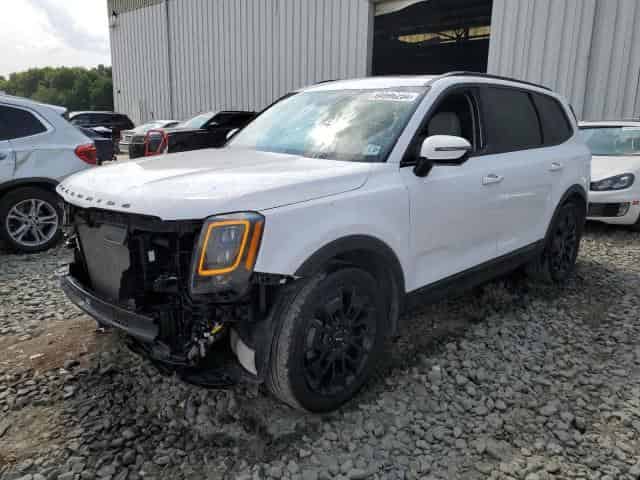 2022 KIA telluride Background