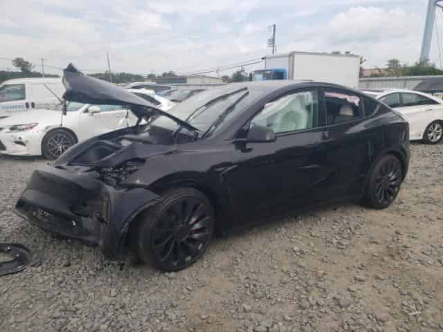 2024 Tesla MODEL Y Background