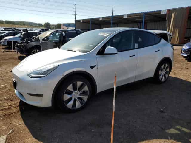 2021 Tesla model y Background