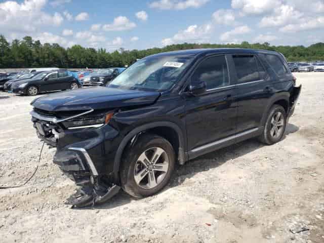 2024 Honda pilot Background