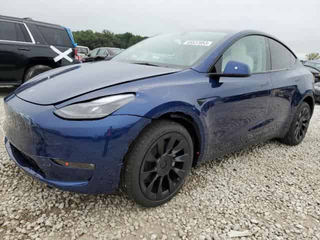 2023 Tesla model y Background