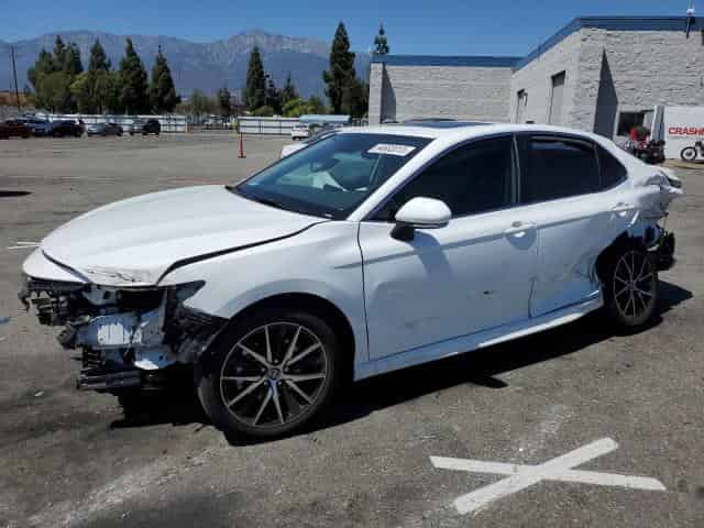 2023 Toyota camry Background