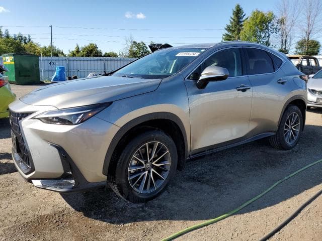 2023 Lexus nx 250 Salvage Car