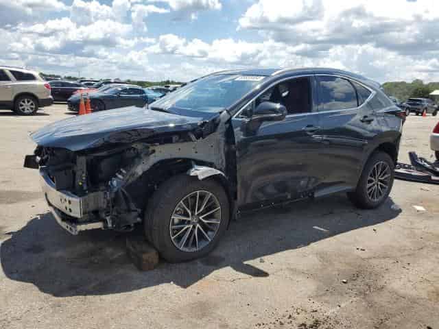 2024 Lexus NX, 350H Base Background