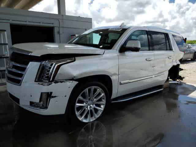 2020 Cadillac escalade Background
