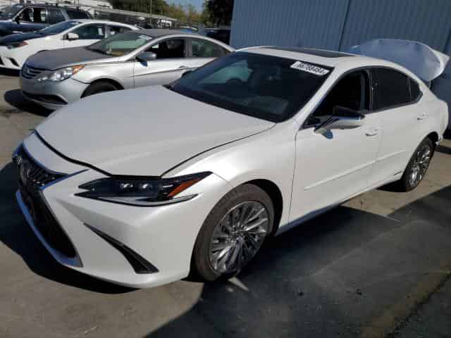 2022 Lexus es300 Background