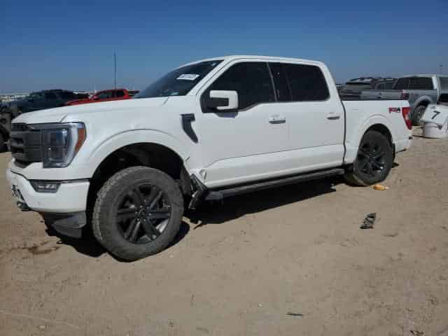 2023 Ford f-150 Background