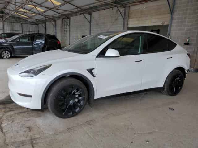 2023 Tesla model y Background