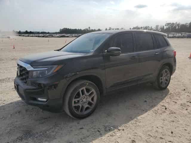 2023 Honda passport Background