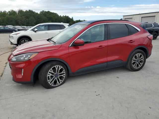 2020 Ford escape Background