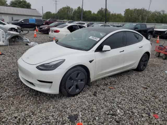 2023 Tesla model 3 Background