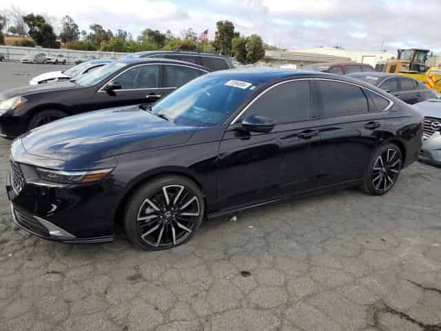 2024 Honda accord Background
