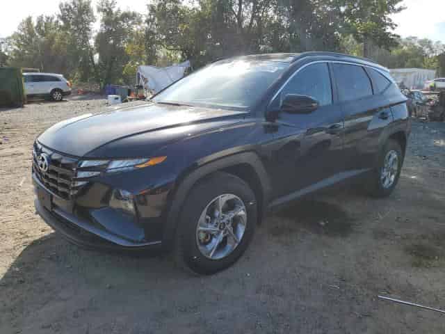 2024 Hyundai tucson Background