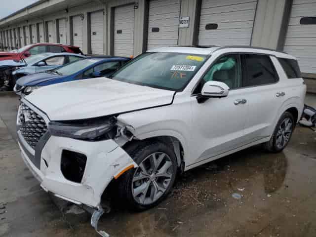 2021 Hyundai palisade Background
