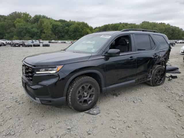 2024 Honda Pilot, Trailsport Background
