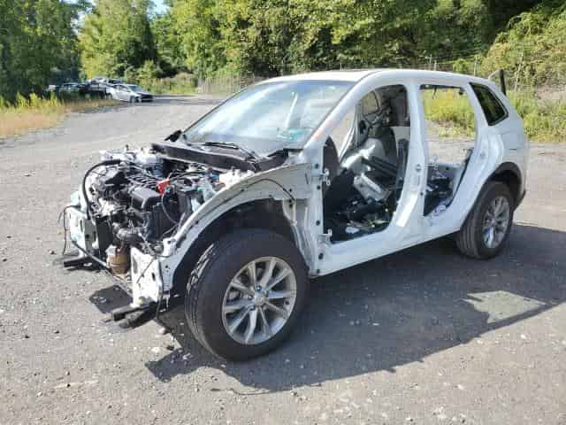 2024 Honda CR-V, Exl Background