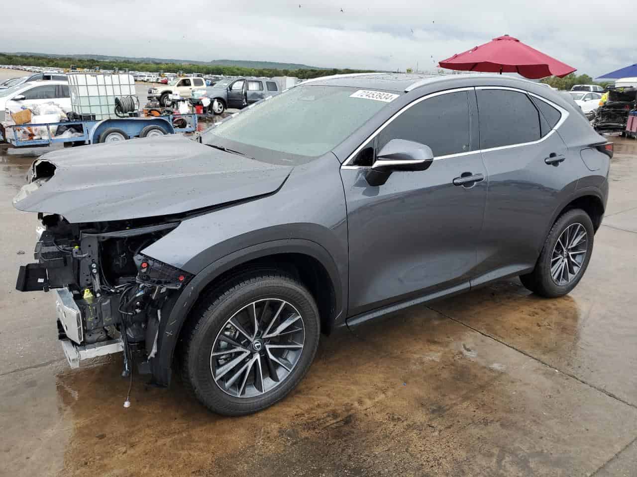 2025 Lexus NX, 250 Premium Background