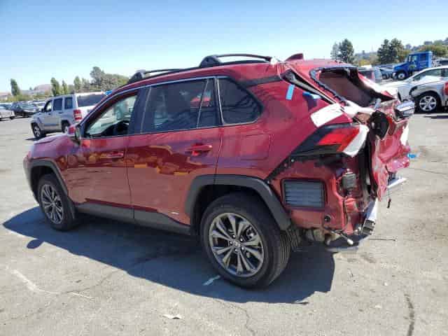 2024 Toyota RAV4, Xle Premium Background