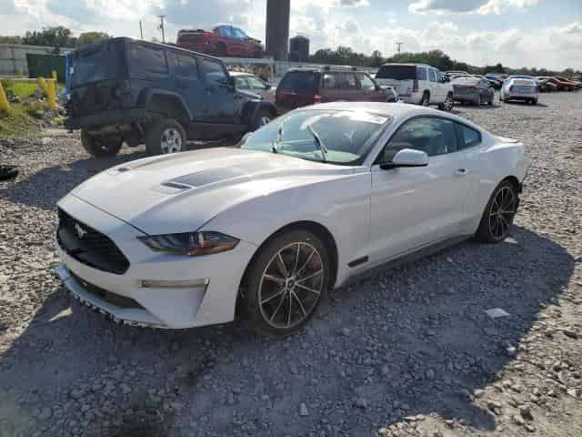 2020 Ford Mustang Background