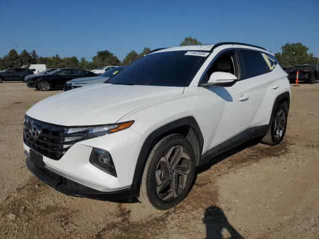 2024 Hyundai tucson Background