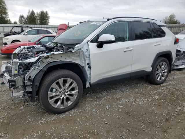 2023 Toyota rav4 Background
