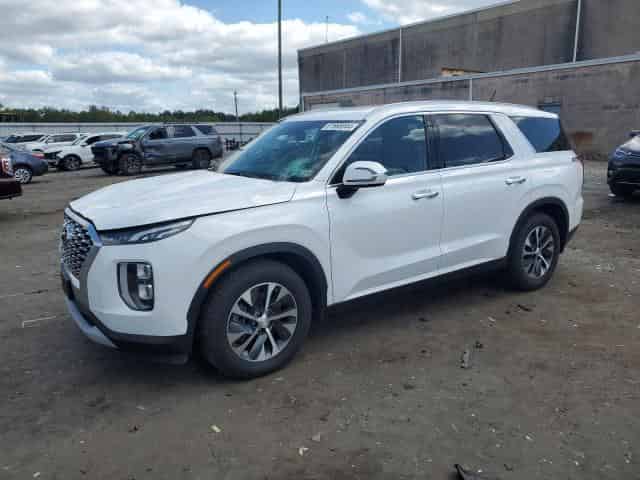 2020 Hyundai palisade Background