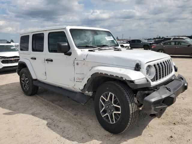 2024 Jeep Wrangler, Sahara Background