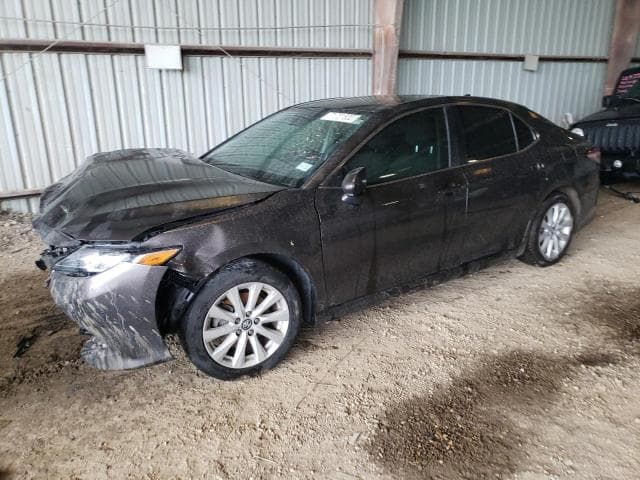 2020 Toyota Camry salvage